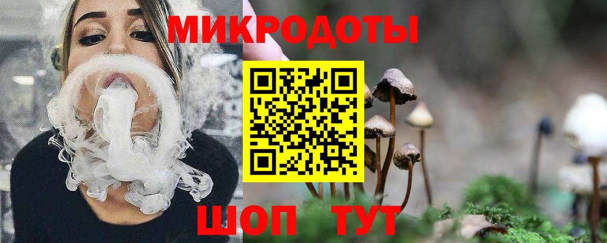 Кашира  Псилоцибиновые грибы Psilocybe  Вход с VPN 